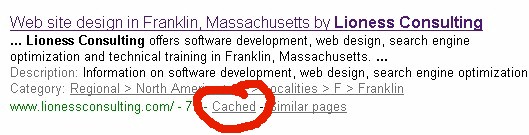 The Google Cache