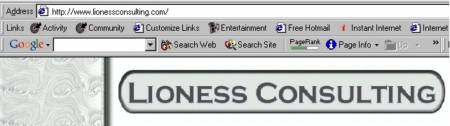 Google Tool Bar